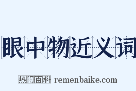 眼中物近义词是什么意思的图片